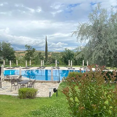 Отель Sintica 4*