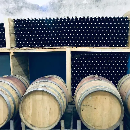 Sintica 4* Сандански