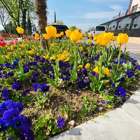 Sintica Отель 4*