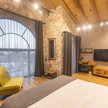 Hotel Sintica 4*
