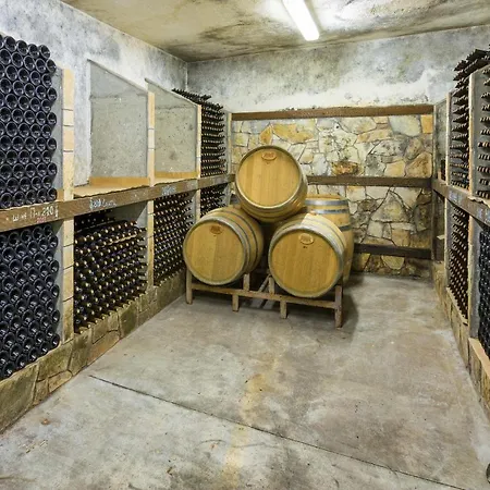 Sintica 4* Сандански