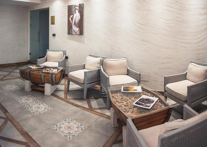 Хотел синтика