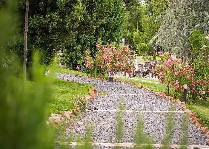 синтика Сандански