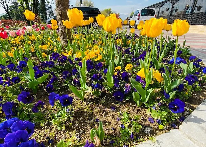 синтика Хотел 4*