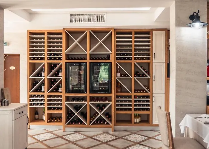 Хотел синтика