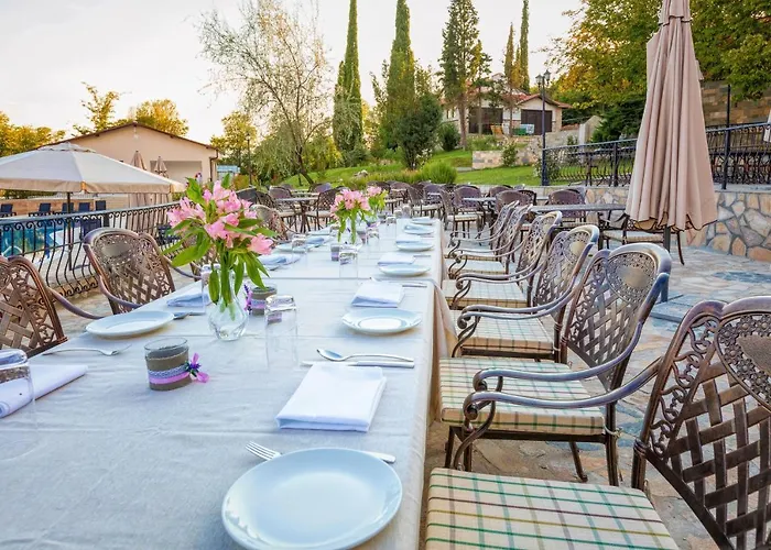 Хотел синтика